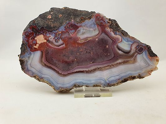 Auch diese bebänderte Achat wurde im Steinbruch Steinkaulenberg gefunden und ist heute im Mineralienmuseum ausgestellt