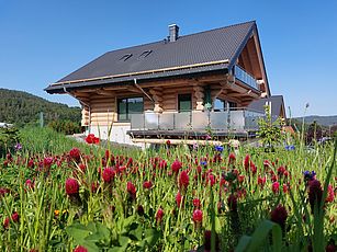 Steinbach See Lodges – kanadische Luxus-Blockhäuser im Hunsrück
