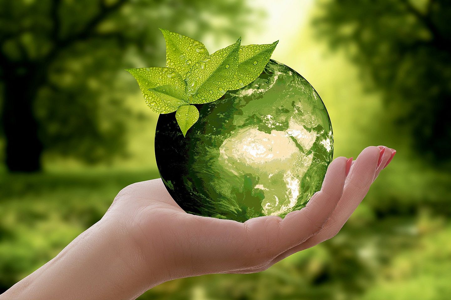 Nachhaltigkeit Erde Grün