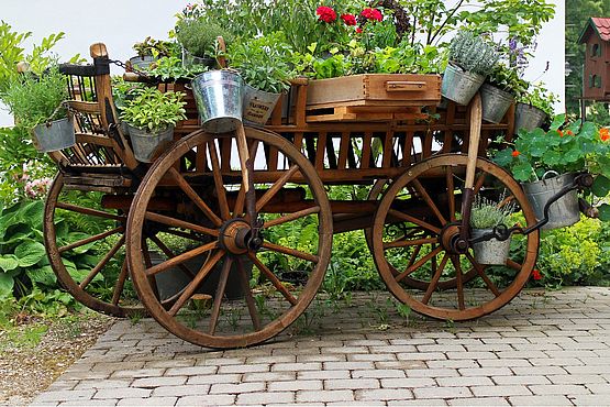 Ein alter Holzwagen macht sich wunderbar als Garten-Highlight und bietet viel Platz für Blüh- und Grünpflanzen. Wer nicht genug Stellfläche hat, kann vielleicht ein Wagenrad wählen und mit Hängepflanzen dekorieren