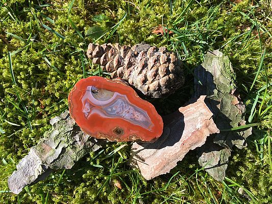 Dieser Achat wurde im Steinbruch Karrenberg bei Reichweiler in der VG Kusel gefunden, der heute nicht mehr für Sammler zugänglich ist